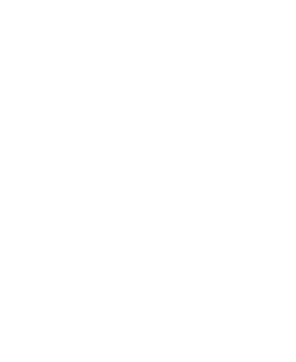 LS+co Logo